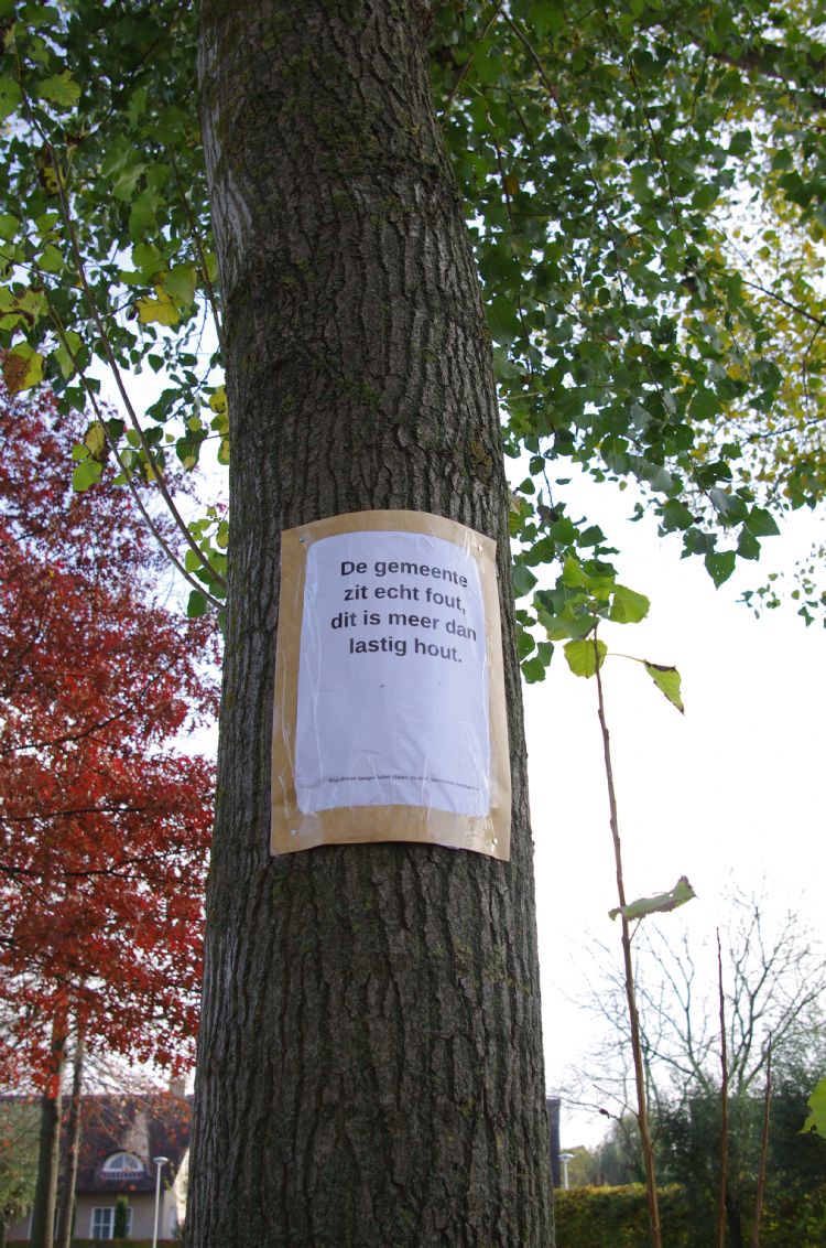 Milieuactivisten van de Boxtelse Bomenbrigade in verzet tegen kap populieren Milieuactivisten van de Boxtelse Bomenbrigade in verzet tegen kap populieren