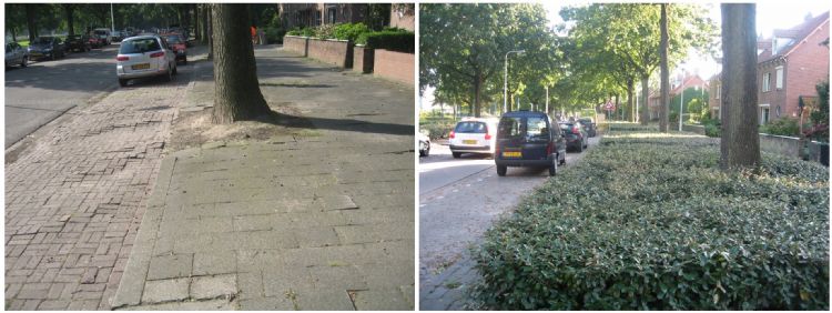 Bodemverbeteringsproject in Tilburg. Links de situatie voor, rechts na. Foto: Alles over Groenbeheer