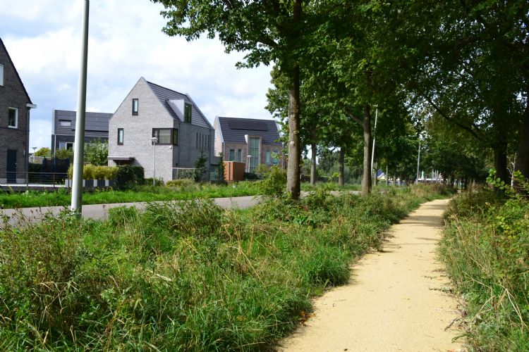 Benjamins Natuursteen onderhoudt voor de gemeente Amsterdam jaarlijks vele meters, waaronder het Westerpark. Benjamins Natuursteen onderhoudt voor de gemeente Amsterdam jaarlijks vele meters, waaronder het Westerpark.