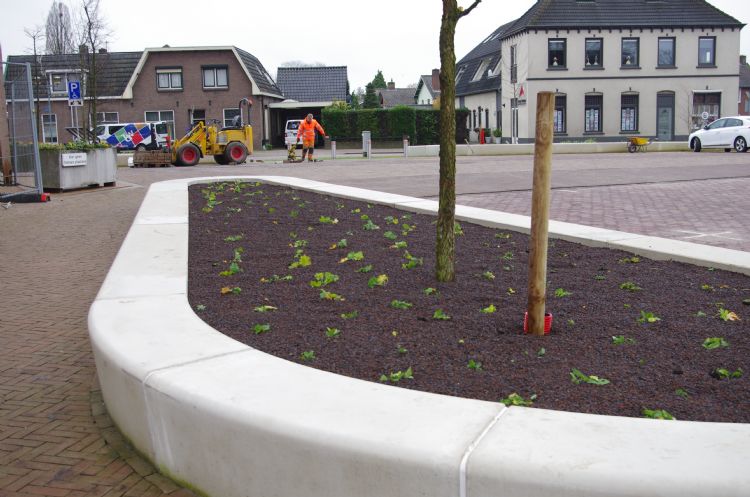Lavapuin houdt water vast en voorkomt uitdroging. Lavapuin houdt water vast en voorkomt uitdroging.