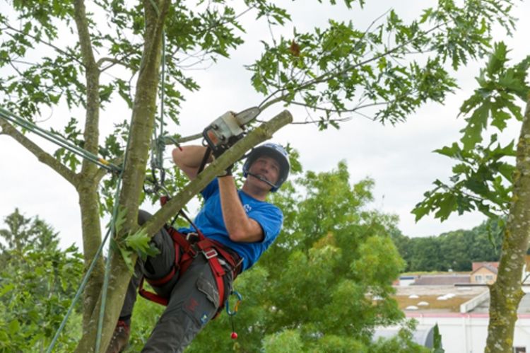 Cees Schreuder Cees Schreuder