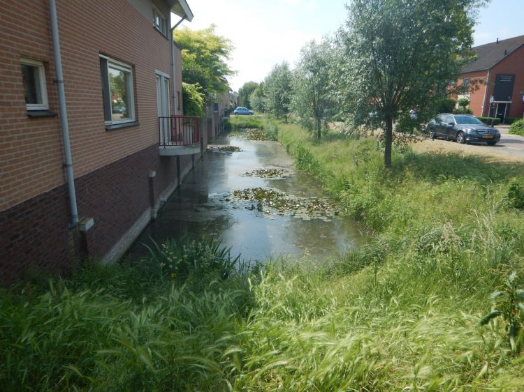 Integraal onderhoud van gevel tot gevel. Toch blijven hoogheemraadschap en gemeente ieder apart verantwoordelijk voor de verstrekte opdrachten. Integraal onderhoud van gevel tot gevel. Toch blijven hoogheemraadschap en gemeente ieder apart verantwoordelijk voor de verstrekte opdrachten.