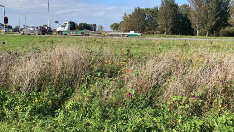 Mozaïekmaaien en strokenmaaien zijn ook manieren om bermen ecologisch te onderhouden. Mozaïekmaaien en strokenmaaien zijn ook manieren om bermen ecologisch te onderhouden.