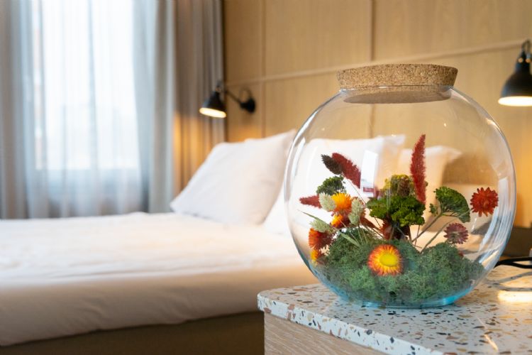 De natuur wordt van buiten naar binnen gehaald bij de Stenden Hotel Management School in Leeuwarden. De bloemen die 's zomers buiten bloeien, staan in gedroogde vorm in terrariums op de hotelkamers. Ook heeft Snoek Puur Groen er een eetbare tuin aangelegd De natuur wordt van buiten naar binnen gehaald bij de Stenden Hotel Management School in Leeuwarden. De bloemen die 's zomers buiten bloeien, staan in gedroogde vorm in terrariums op de hotelkamers. Ook heeft Snoek Puur Groen er een eetbare tuin aangelegd