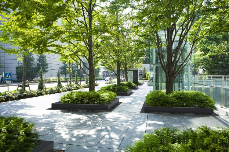 Boomspiegels Boomspiegels