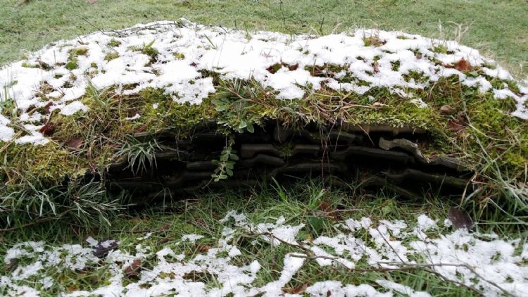 Schuilplaatsen zijn belangrijk voor het creëren en behouden van diversiteit. Schuilplaatsen zijn belangrijk voor het creëren en behouden van diversiteit.