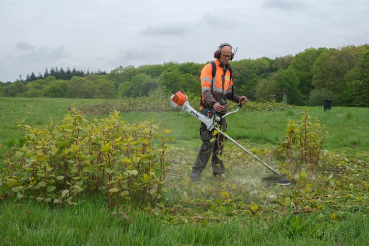 Invasieve exoten de baas blijven binnen het contract Invasieve exoten de baas blijven binnen het contract