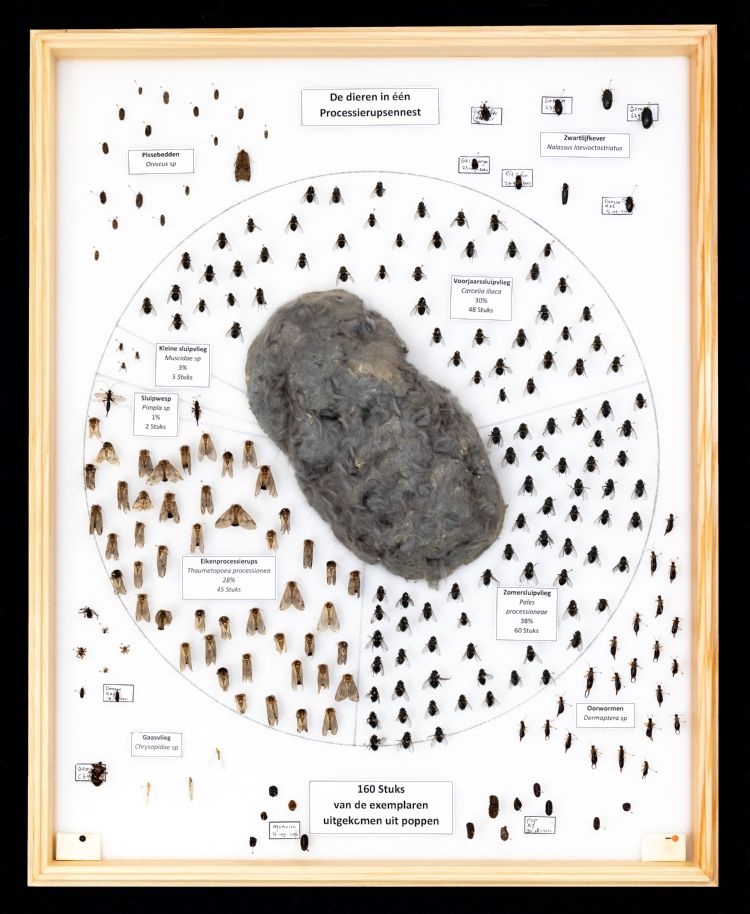 Nest met natuurlijke vijanden en overige dieren. Foto: Storix Nest met natuurlijke vijanden en overige dieren. Foto: Storix