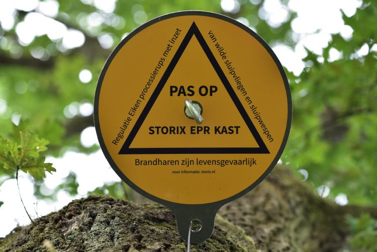 Foto: Storix Foto: Storix