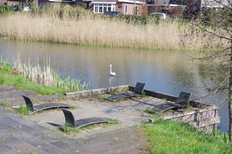 Vooral onkruid op verharding levert klachten op. Vooral onkruid op verharding levert klachten op.