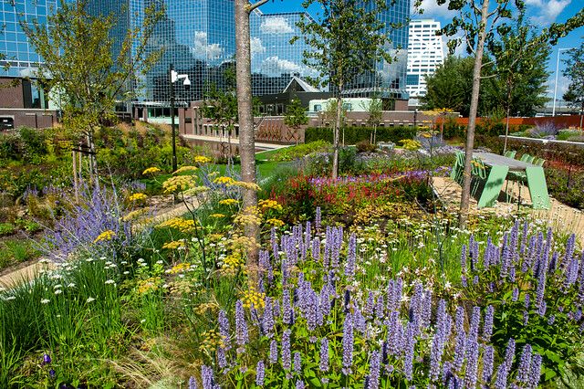 Foto: Iverde Foto: Iverde