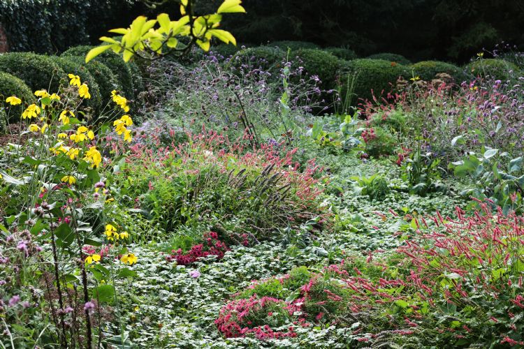 Bekend om de vakbeplanting, maar Greentocolour is ook geschikt voor beplanting met een natuurlijke uitstraling