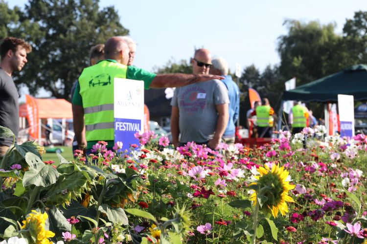 Kleurrijke bloemstroken in de biodiversiteitsetalage, ideaal voor bijen en vlinders