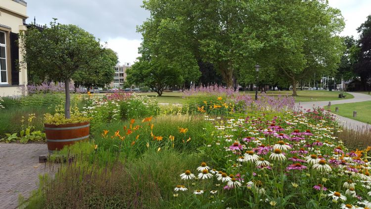 Fleur Dansante zorgt voor kleur op landgoed Bronbeek in Arnhem