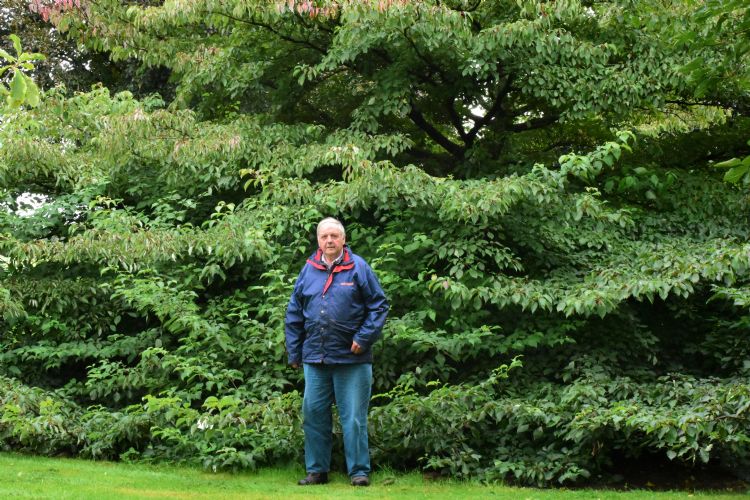 Frens van den Biggelaar Frens van den Biggelaar