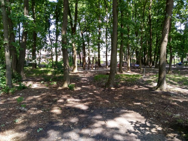 Buurtspeelbos Veenendaal Buurtspeelbos Veenendaal
