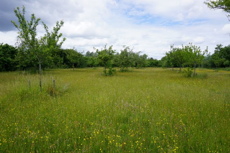 Groene velden Gent Groene velden Gent