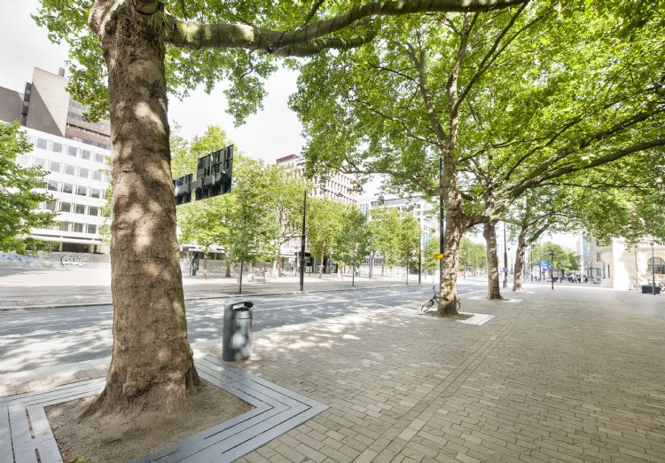 Op de Coolsingel in Rotterdam kunnen bomen uitgroeien dankzij de TreeParker