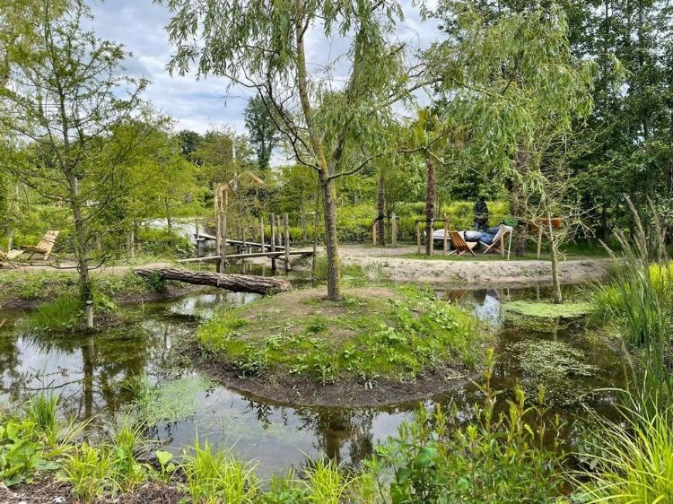 Een natuurlijke speelplek die VIC Landscapes maakte in samenwerking met Boomkwekerij Ebben op de Floriade in Almere