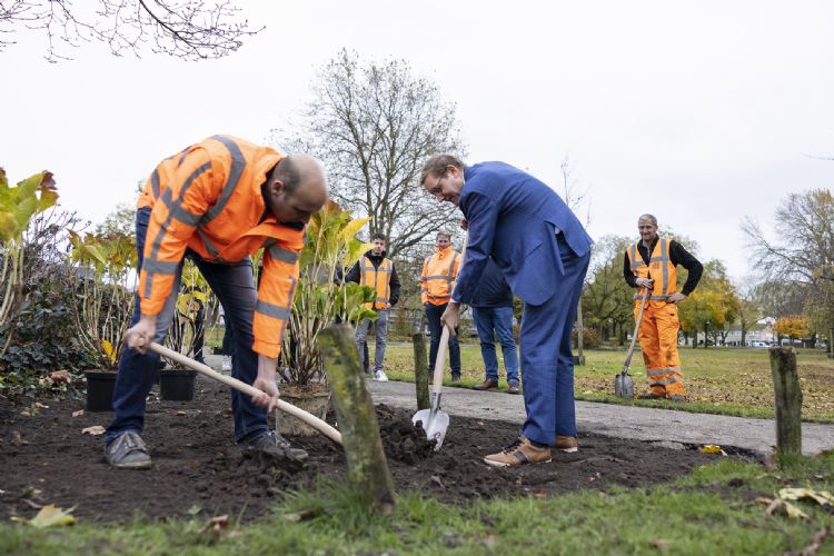 Wethouder Arno Bonte (Gemeente Helmond), Projectleider Thijs Matheeuwsen (Panhuijzen Groen) en Adviseur Luuk Veldman (Beheeraccent Advies) planten hortensia's als start voor de groenimpuls. (Foto: Vincent Knoops/Vincent Knoops Fotografie)