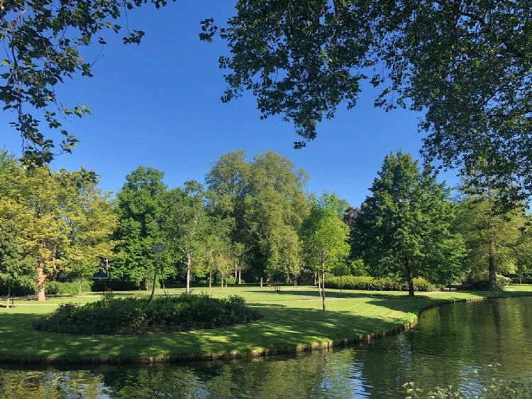 Park Merwestein