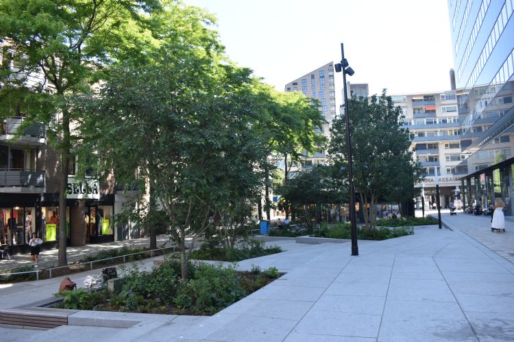 Het centrum van Tilburg. Het centrum van Tilburg.