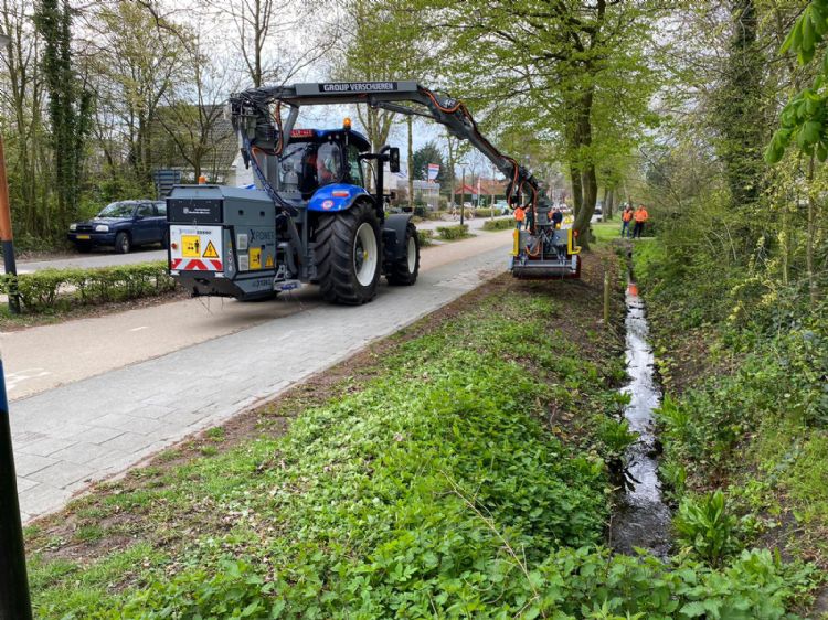 Weed Lightning Weed Lightning