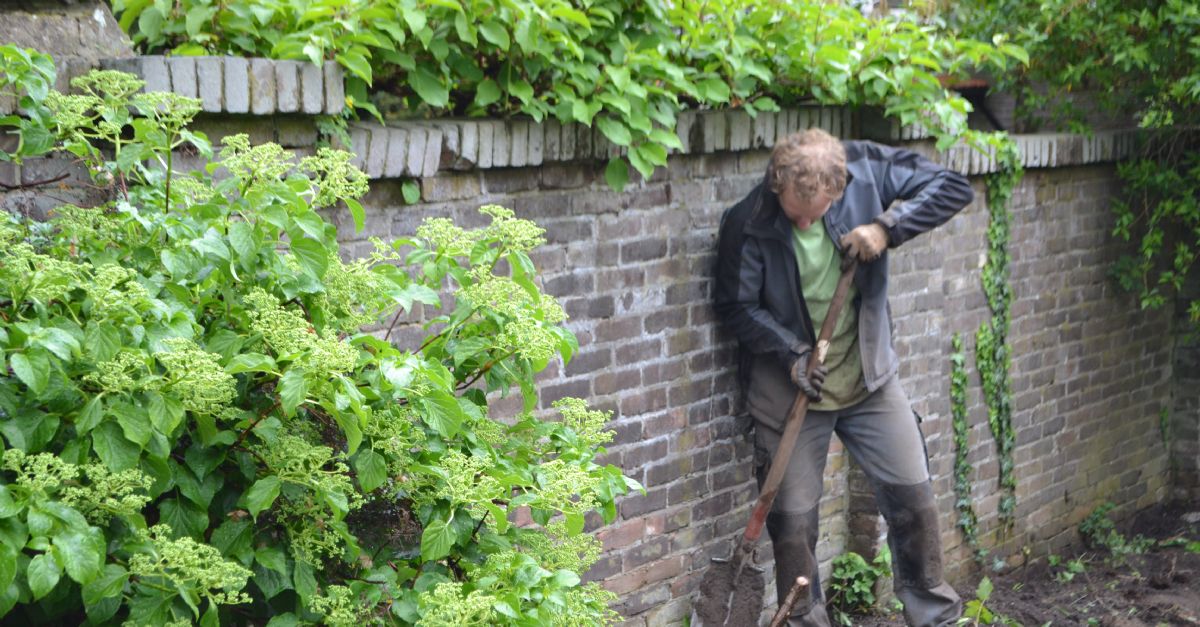 Gezocht: Vakbekwame Hovenier Omgeving Utrecht Mét Zeer Interessante ...