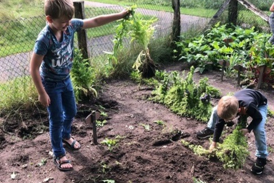 Jongens enthousiast aan het tuinieren in een door bewoners gerealiseerd volkstuintje