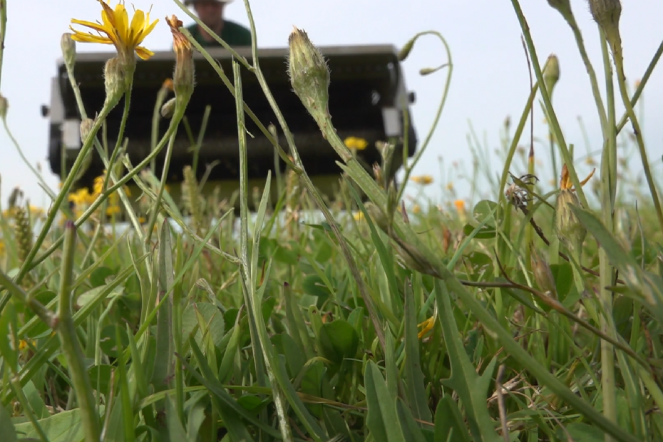 <geen titel> <geen titel>