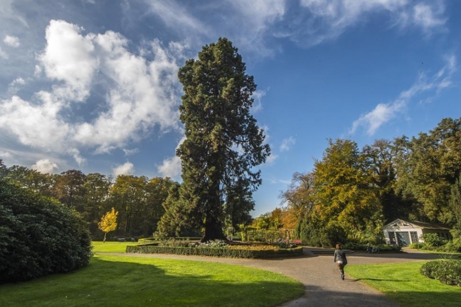 Het Abraham Ledeboerpark in Enschede (Beeld: 1Twente)