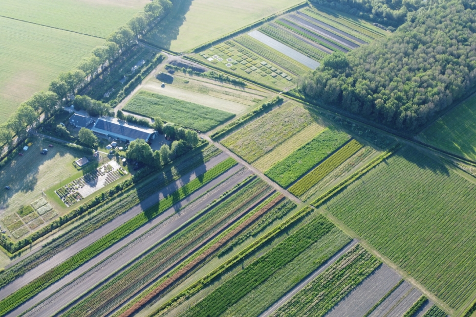 Luchtfoto Cruydt-Hoeck terrein - ©Casper Herbots