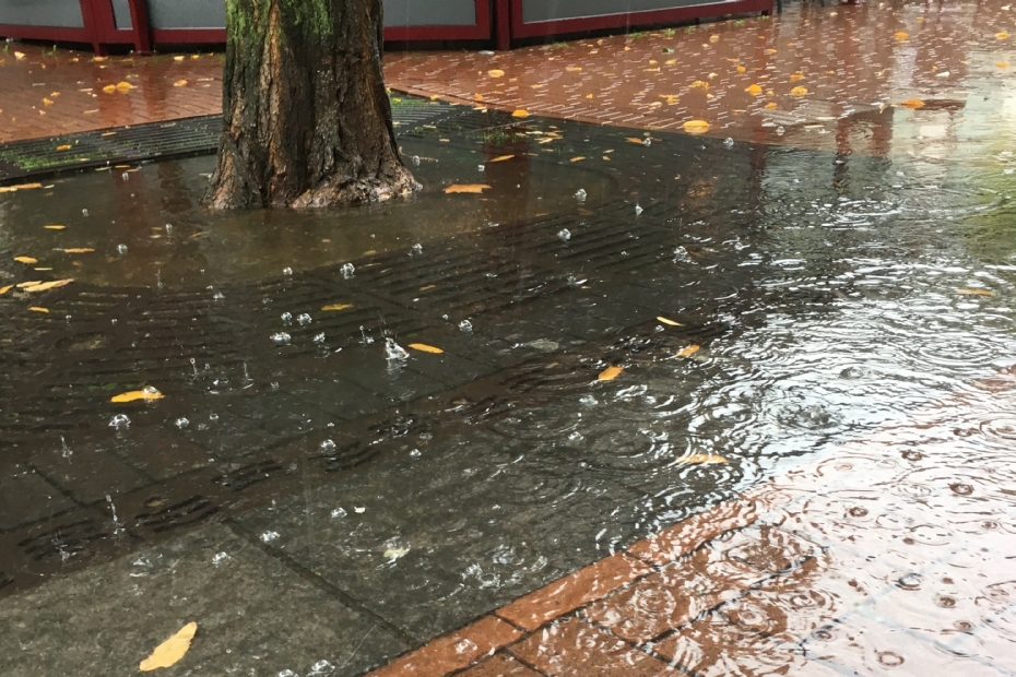 Wateroverlast bij een hoosbui in Nijmegen