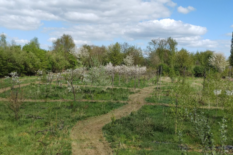 Voedselbos in Loosbroek (Beeld via: Eric de Haas)