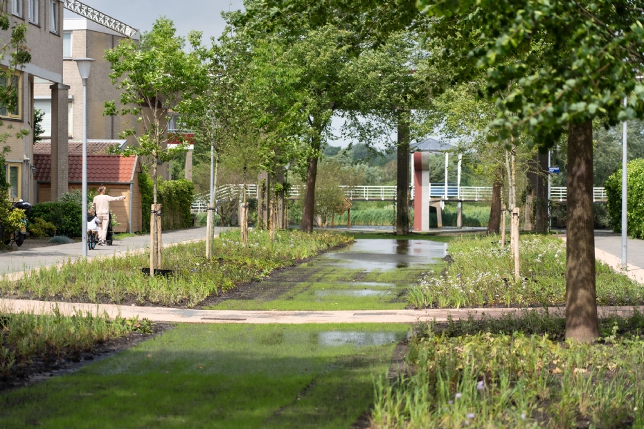 Hans Riesstraat. Afbeelding via Stichting De Groene Stad, organisator van de Nederlandse nationale voorronde