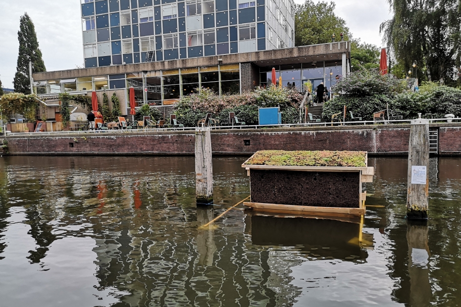 De vogelwoonboot gezien van de achterzijde in situ