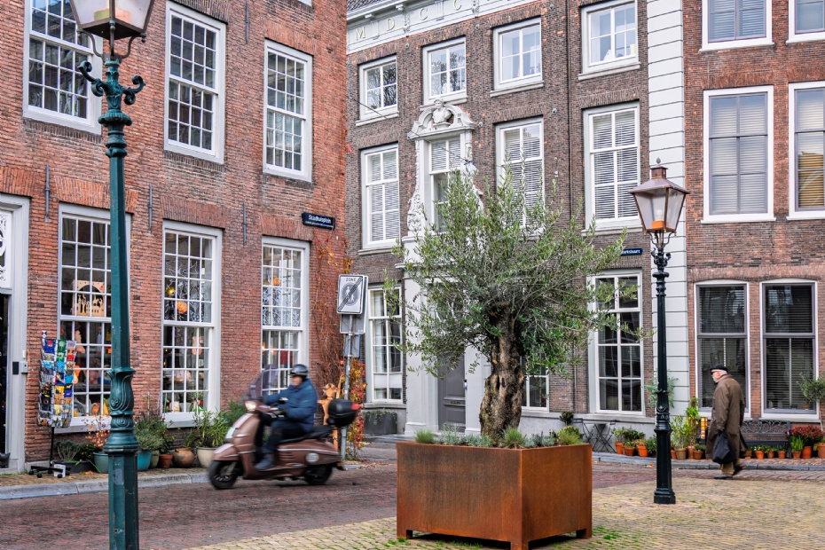 De plantenbakken staan onder andere op het Stadhuisplein