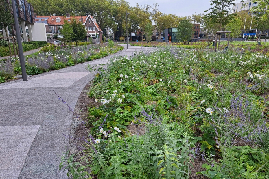 Het plein voor het gemeentehuis, met het daktuinsysteem eronder, is een mooi visitekaartje voor de gemeente