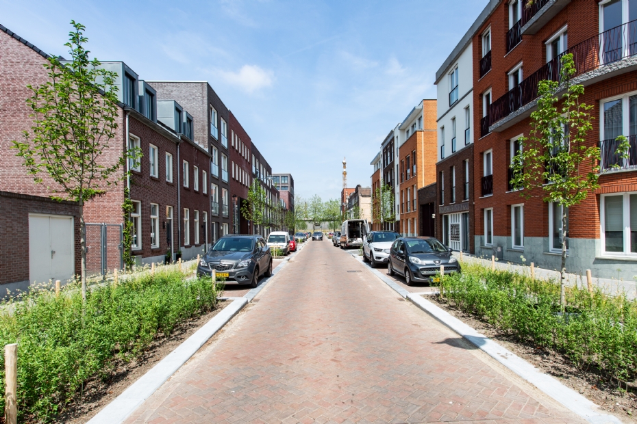 Vergroende straat in Breda (foto: Joosten)