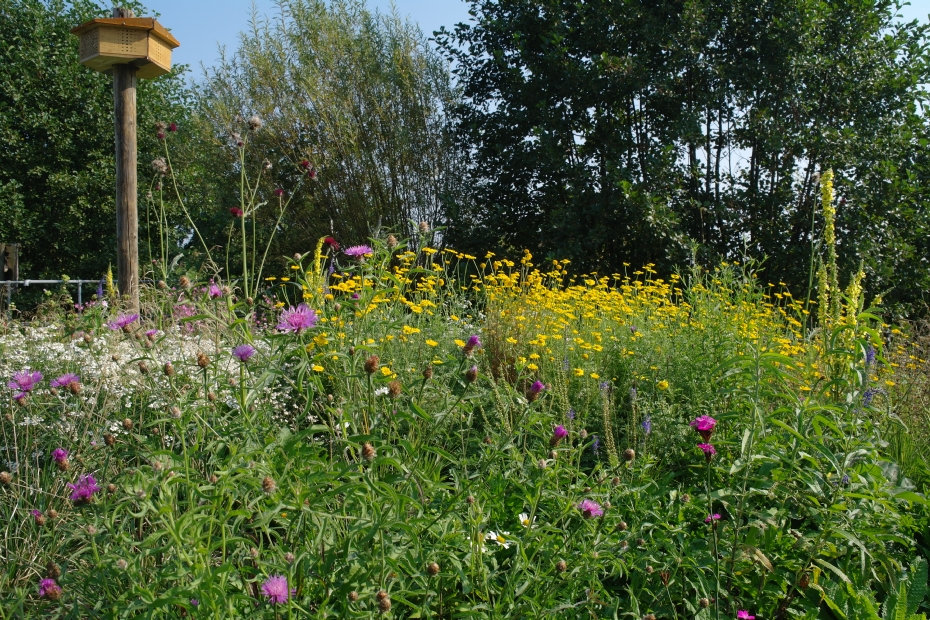 Het concept 'Living Landscape' van Griffioen Wassenaar