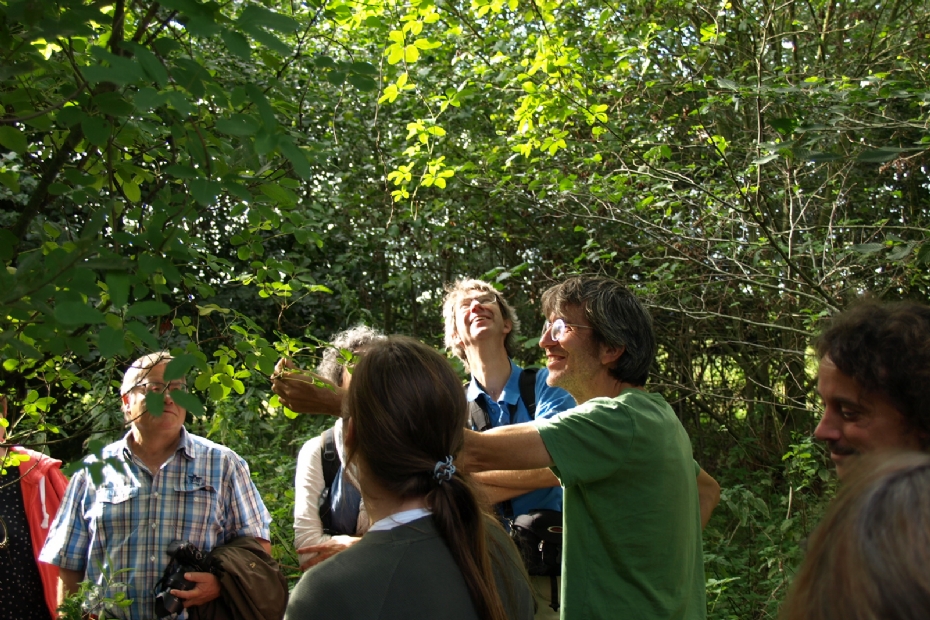 Een rondleiding door voedselbos Ketelbroek te Groesbeek