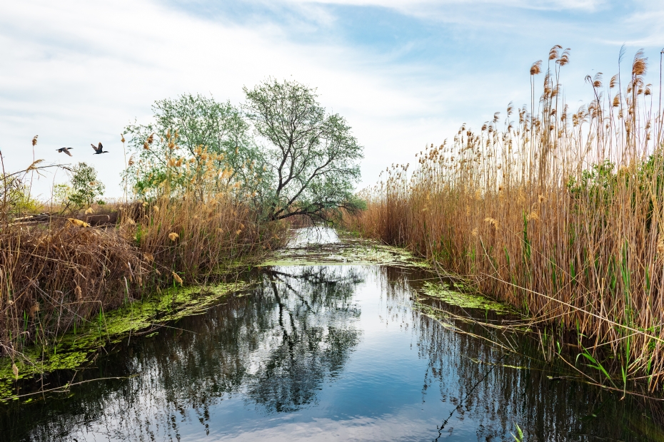 Beeld ter illustratie: Freepik