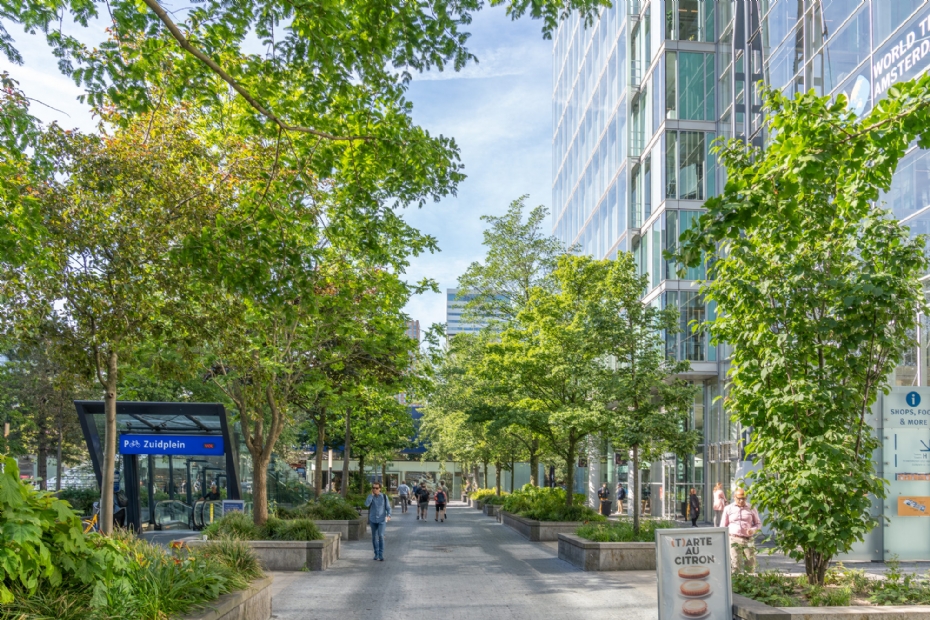 Stadsbomen voor de toekomst