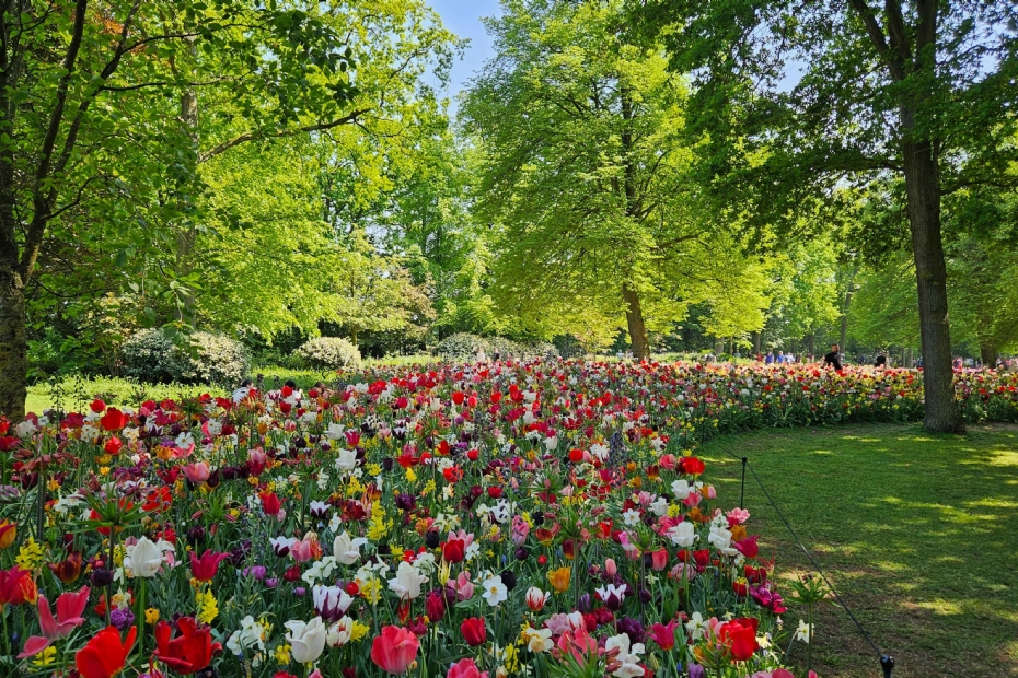 Foto: JUB Holland