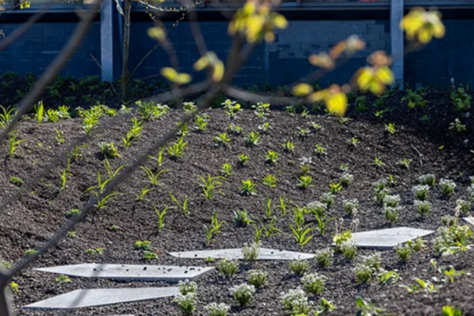 Beeld: idverde