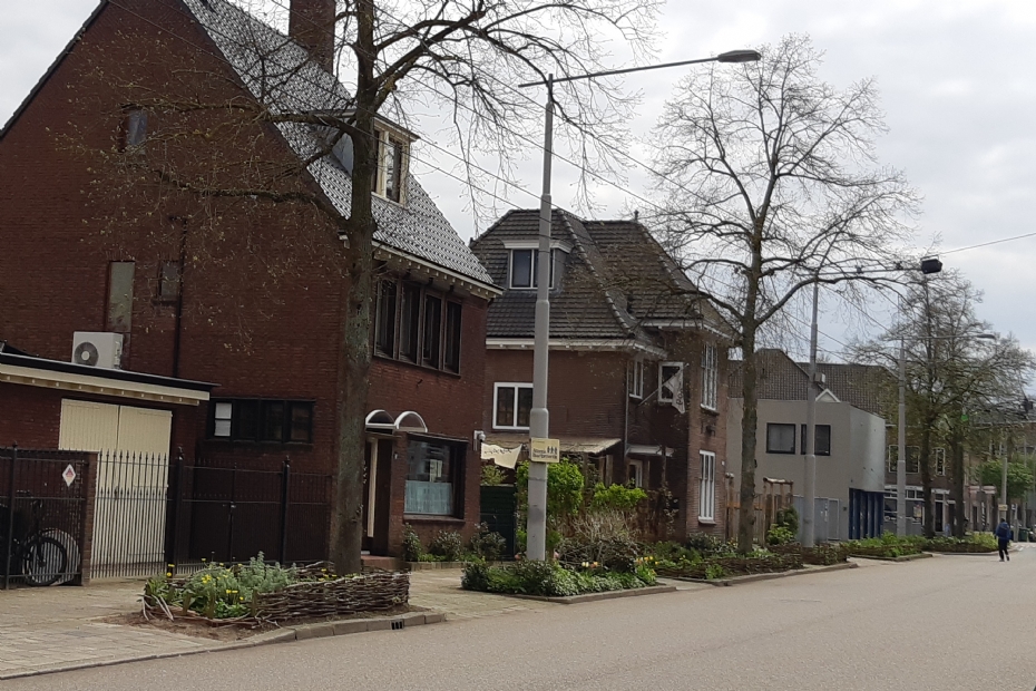Beeld ter illustratie: Grote plantvakken met wilgenvlechtwerk (gemeente Arnhem samen met buurtbewoners)