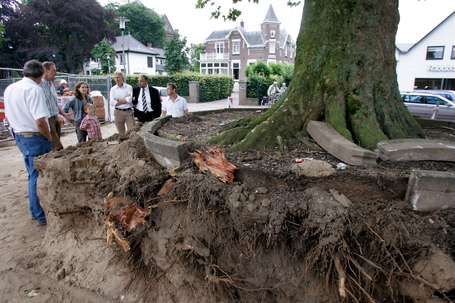 De Omgevingswet vraagt om integraliteit, waarbij grijs, groen, blauw en rood bij elkaar moeten komen. Integraliteit kan kleine, maar ook grote mis(ver)standen voorkomen, zoals de teloorgang van de Mina Kuppen-boom in Beneden-Leeuwen (2008).