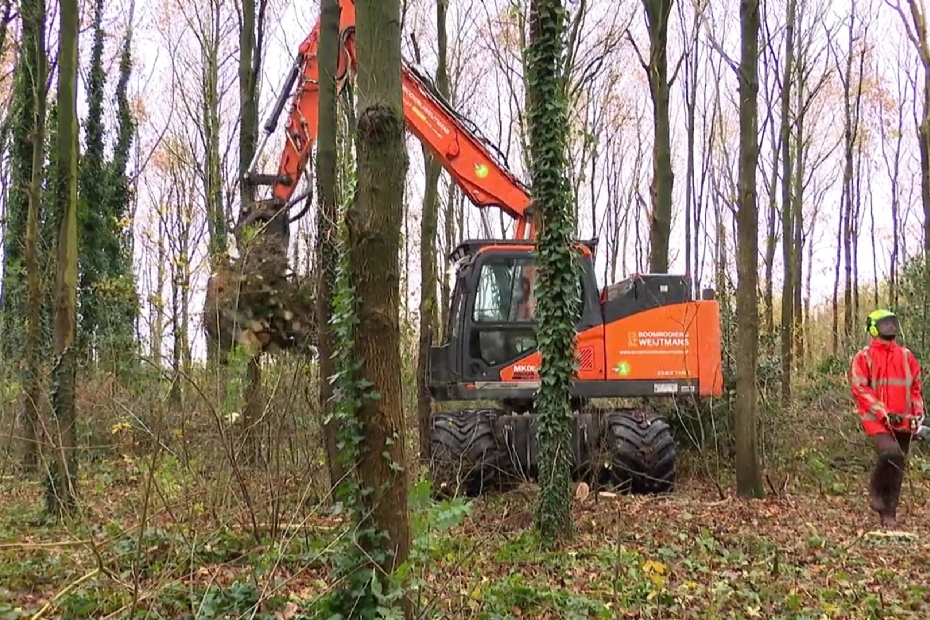 Aan het werk in het bos met elektrische kraan en kettingzagen