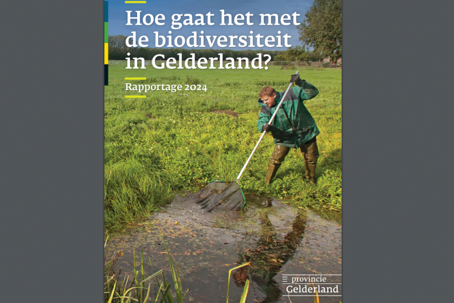 Cover van het rapport