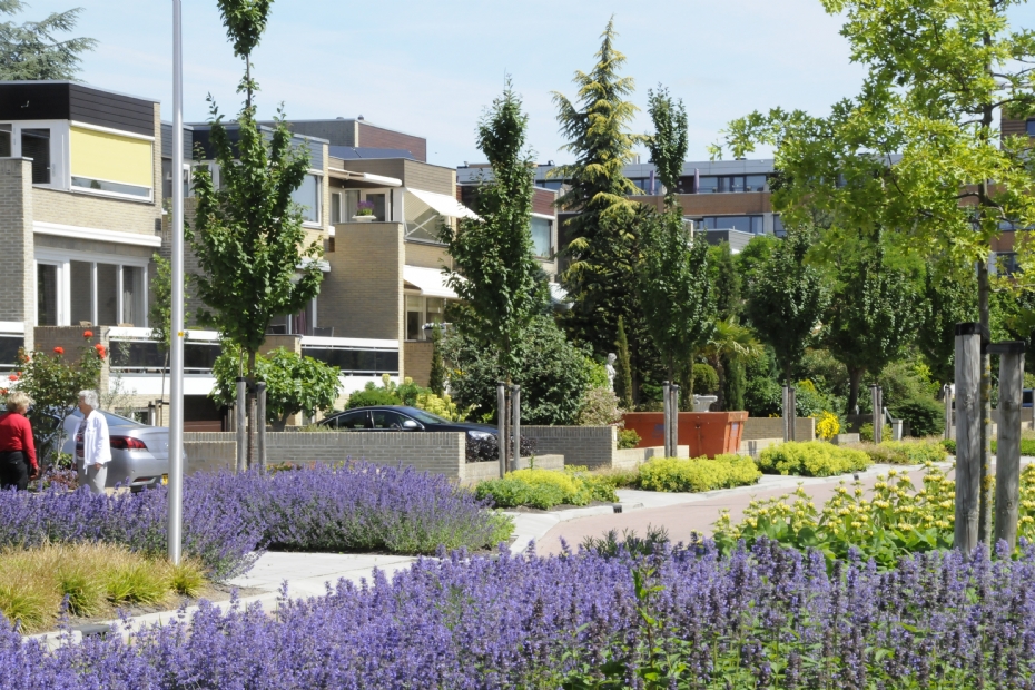 Biodiversiteit wordt bepaald in de gelaagdheid